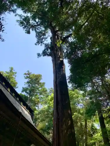 鹿島神宮(茨城県)