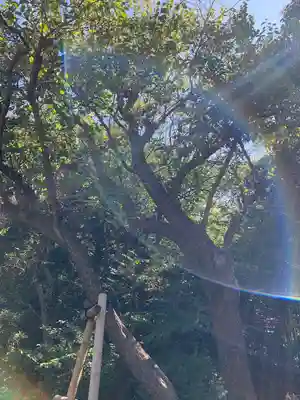 喜多見氷川神社(東京都)