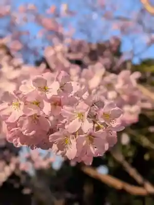 神明氷川神社(東京都)