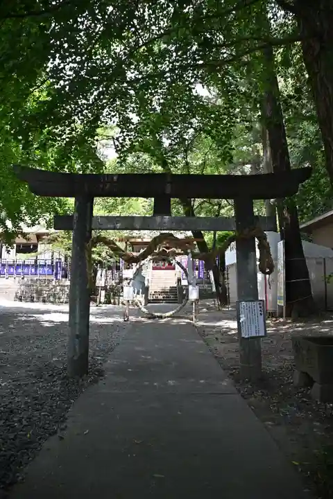 下野 星宮神社(栃木県)
