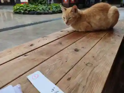 小倉祇園八坂神社(福岡県)