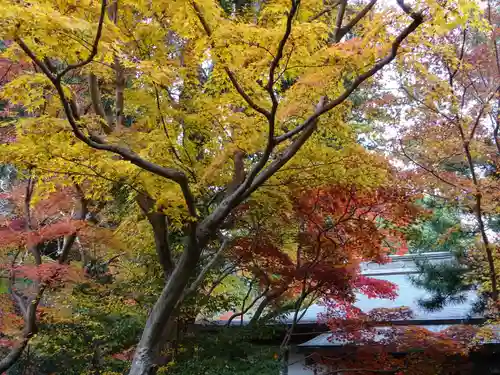 覚園寺(神奈川県)