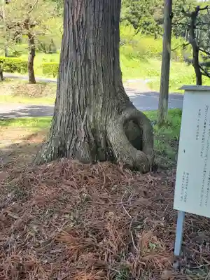 光厳寺(栃木県)