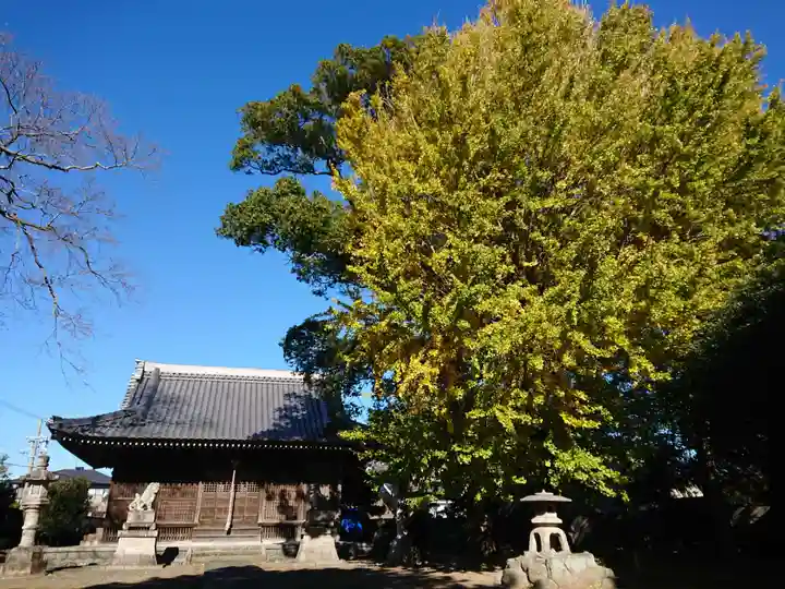 菱木野天神社の本殿・本堂