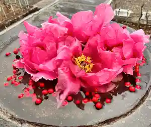 真言宗 善通寺派 薬王寺(香川県)(2023年12月15日(金) 15時36分31秒投稿)