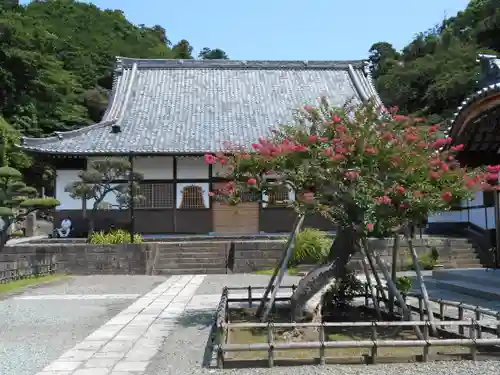 海宝院の本殿・本堂