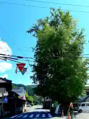 六所神社の自然