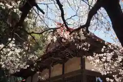 南宮大神社(山梨県)