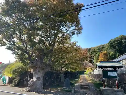 横浜　西方寺のその他建物