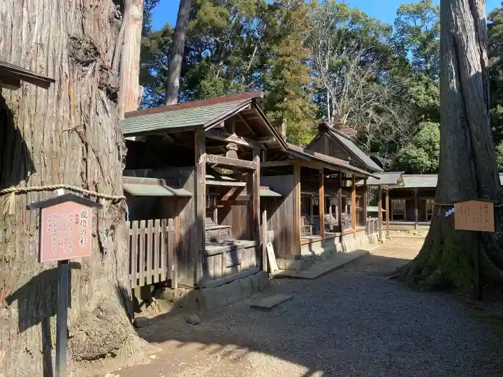豊受大神社の{uncategorized: "未分類", other: "その他", undefined: "問題あり", building: "その他建物", grave: "お墓", sacred_gate: "鳥居", guardian: "狛犬", statue: "像", buddha: "仏像", history: "歴史", nature: "自然", garden: "庭園", animal: "動物", pagoda: "塔", temizu: "手水舎", mountain_gate: "山門・神門", sanctuary: "本殿・本堂", subordinate: "末社・摂社", art: "芸術", scenery: "景色", jizo: "地蔵", ema: "絵馬", goshuin: "御朱印", omikuji: "おみくじ", items: "授与品その他", amulet: "お守り", goshuincho: "御朱印帳", eats: "食事", festival: "お祭り", votive_dance: "神楽", shichigosan: "七五三参", wedding: "結婚式", experience: "体験その他", initially: "初詣", around: "周辺", anti_infection: "感染症対策"}