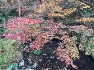 大洞院(静岡県)