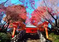 穴八幡宮(東京都)