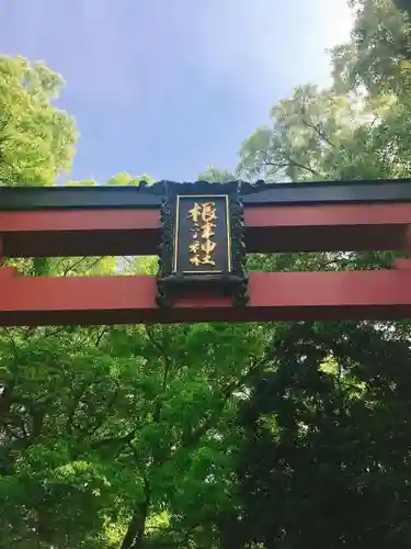 根津神社の鳥居