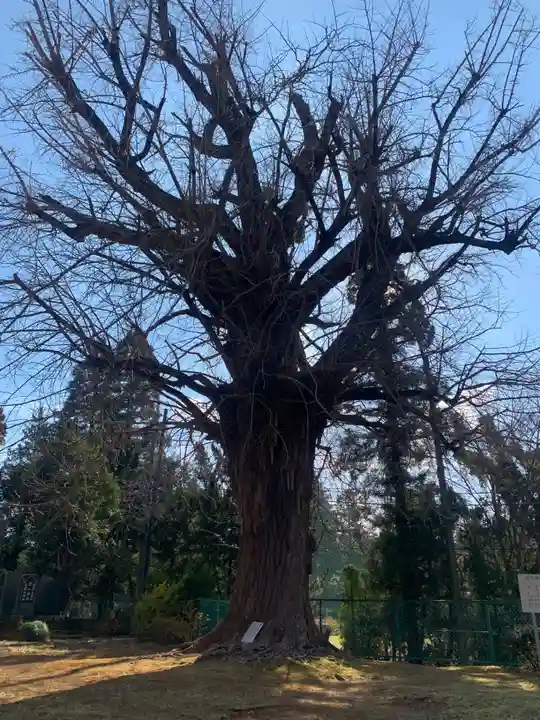 吉祥寺(千葉県)