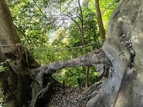 春日神社の{uncategorized: "未分類", other: "その他", undefined: "問題あり", building: "その他建物", grave: "お墓", sacred_gate: "鳥居", guardian: "狛犬", statue: "像", buddha: "仏像", history: "歴史", nature: "自然", garden: "庭園", animal: "動物", pagoda: "塔", temizu: "手水舎", mountain_gate: "山門・神門", sanctuary: "本殿・本堂", subordinate: "末社・摂社", art: "芸術", scenery: "景色", jizo: "地蔵", ema: "絵馬", goshuin: "御朱印", omikuji: "おみくじ", items: "授与品その他", amulet: "お守り", goshuincho: "御朱印帳", eats: "食事", festival: "お祭り", votive_dance: "神楽", shichigosan: "七五三参", wedding: "結婚式", experience: "体験その他", initially: "初詣", around: "周辺", anti_infection: "感染症対策"}