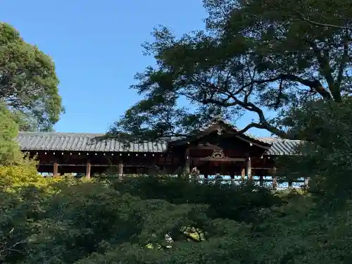 東福禅寺（東福寺）(京都府)