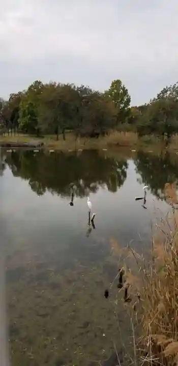 高須香取神社の動物