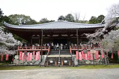 醍醐寺(京都府)