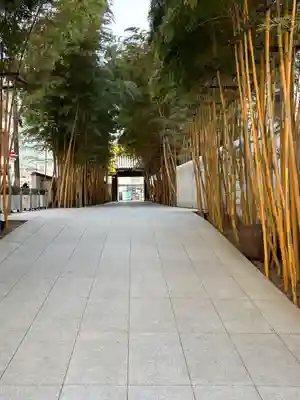 梅窓院(東京都)