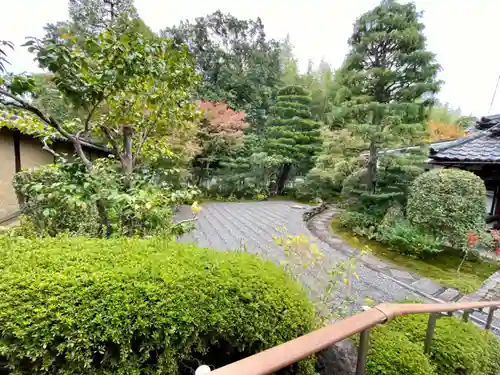 養徳院の庭園