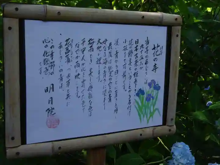 明月院(神奈川県)