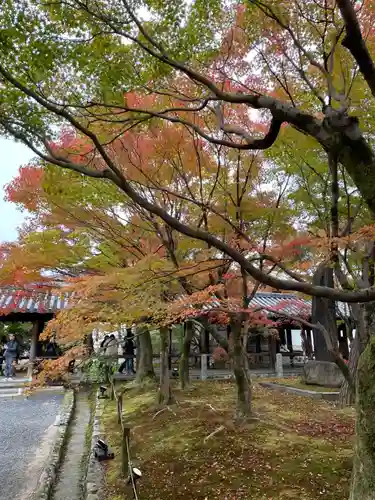 東福禅寺（東福寺）(京都府)