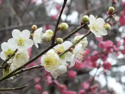 石山寺(滋賀県)