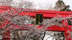 冠稲荷神社の鳥居