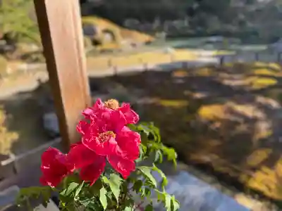 青蓮院門跡(京都府)