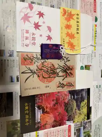 禅林寺(永観堂)の御朱印 2025年11月