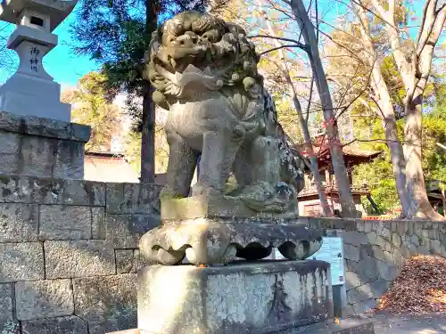 大井俣窪八幡神社の狛犬