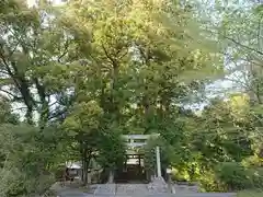 石座神社の鳥居