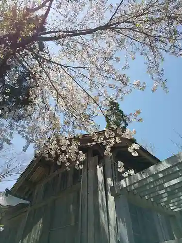 堂ノ森神社の本殿