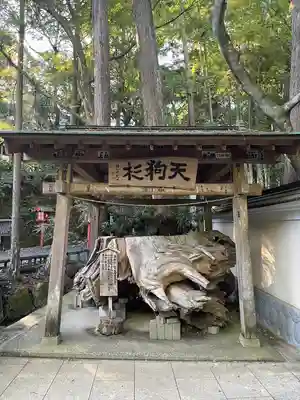 目の霊山 油山寺(静岡県)