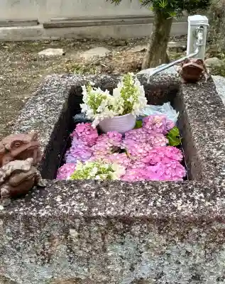 尾張高野山宗　総本山　岩屋寺(愛知県)