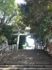 渋谷氷川神社の鳥居