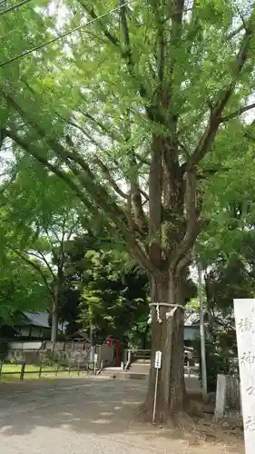 桐生天満宮(群馬県)