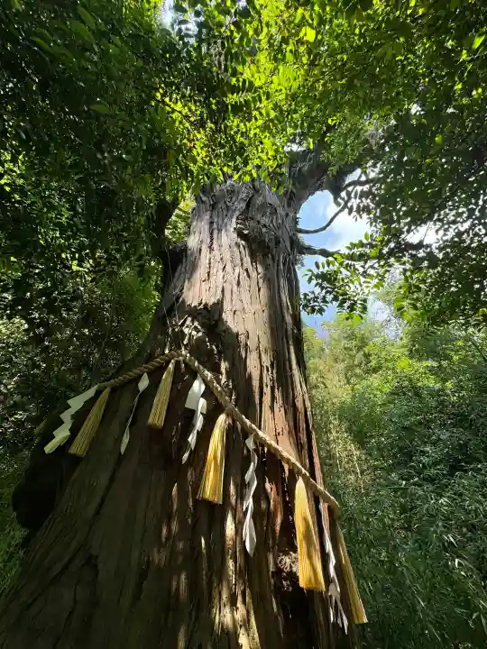 陸奥総社宮の{uncategorized: "未分類", other: "その他", undefined: "問題あり", building: "その他建物", grave: "お墓", sacred_gate: "鳥居", guardian: "狛犬", statue: "像", buddha: "仏像", history: "歴史", nature: "自然", garden: "庭園", animal: "動物", pagoda: "塔", temizu: "手水舎", mountain_gate: "山門・神門", sanctuary: "本殿・本堂", subordinate: "末社・摂社", art: "芸術", scenery: "景色", jizo: "地蔵", ema: "絵馬", goshuin: "御朱印", omikuji: "おみくじ", items: "授与品その他", amulet: "お守り", goshuincho: "御朱印帳", eats: "食事", festival: "お祭り", votive_dance: "神楽", shichigosan: "七五三参", wedding: "結婚式", experience: "体験その他", initially: "初詣", around: "周辺", anti_infection: "感染症対策"}