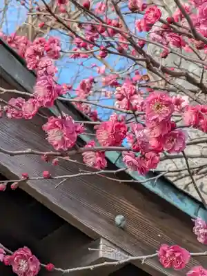 北野神社(東京都)