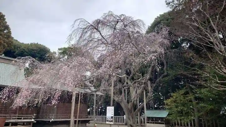 常陸第三宮 吉田神社(茨城県)
