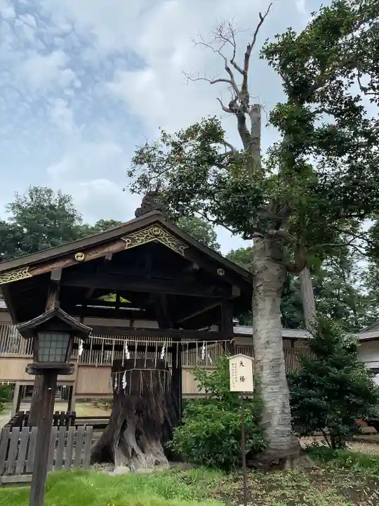 須賀神社(栃木県)