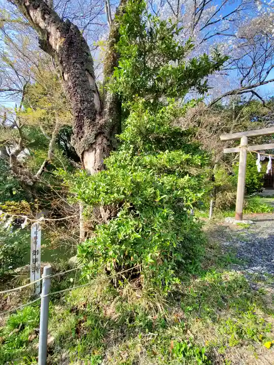 磯部稲村神社(茨城県)