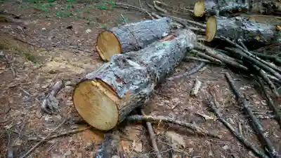 忠栄金刀比羅神社(北海道)