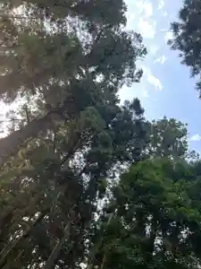 大宮温泉神社(栃木県)(2023年07月08日(土) 07時36分22秒投稿)