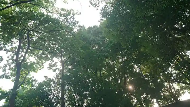 尾張大國霊神社(国府宮)の自然