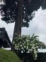 弘長寺(長野県)