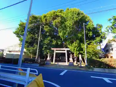 津島社（稲口町）の自然