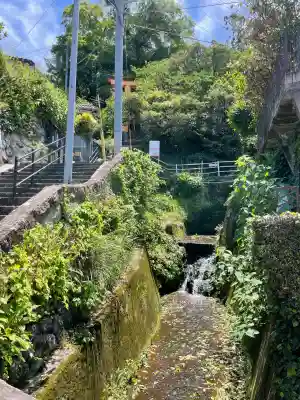 若宮稲荷神社の{uncategorized: "未分類", other: "その他", undefined: "問題あり", building: "その他建物", grave: "お墓", sacred_gate: "鳥居", guardian: "狛犬", statue: "像", buddha: "仏像", history: "歴史", nature: "自然", garden: "庭園", animal: "動物", pagoda: "塔", temizu: "手水舎", mountain_gate: "山門・神門", sanctuary: "本殿・本堂", subordinate: "末社・摂社", art: "芸術", scenery: "景色", jizo: "地蔵", ema: "絵馬", goshuin: "御朱印", omikuji: "おみくじ", items: "授与品その他", amulet: "お守り", goshuincho: "御朱印帳", eats: "食事", festival: "お祭り", votive_dance: "神楽", shichigosan: "七五三参", wedding: "結婚式", experience: "体験その他", initially: "初詣", around: "周辺", anti_infection: "感染症対策"}