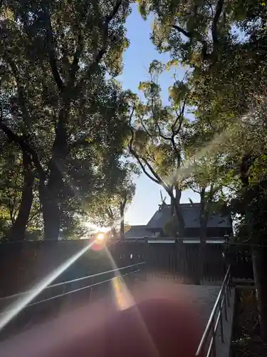 和泉國一之宮　大鳥大社(大阪府)