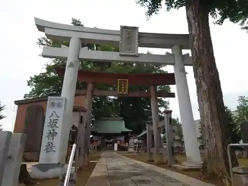 守谷総鎮守 八坂神社の鳥居